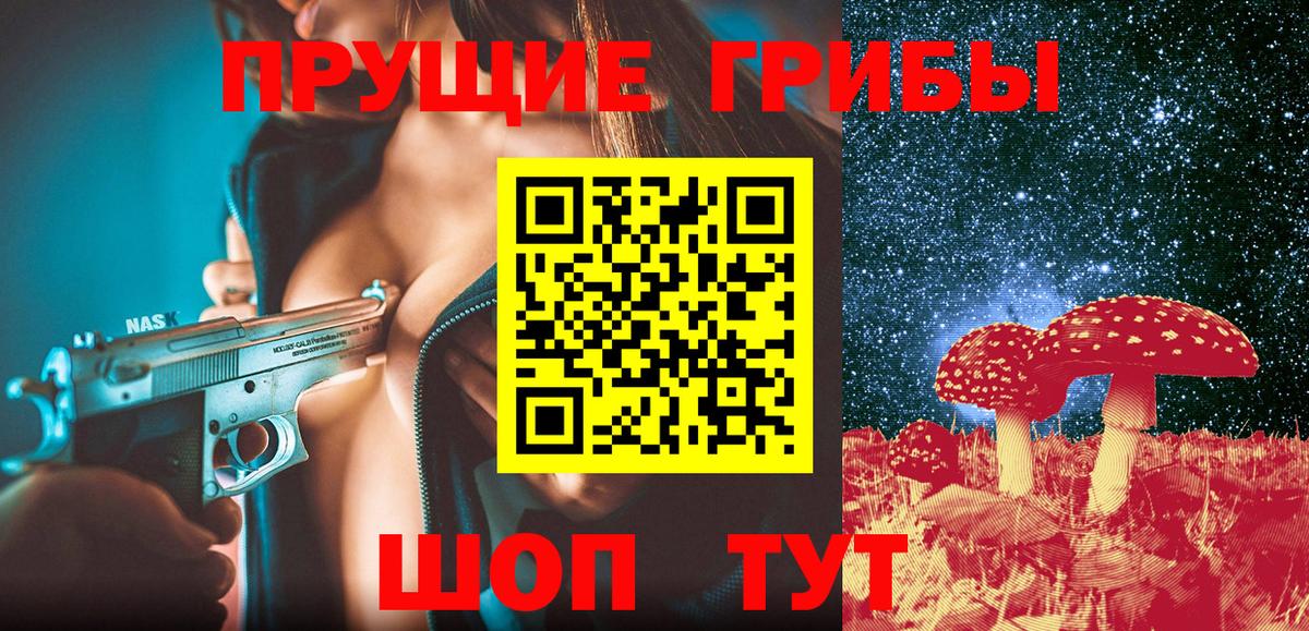 Галлюциногенные грибы Psilocybe Советск